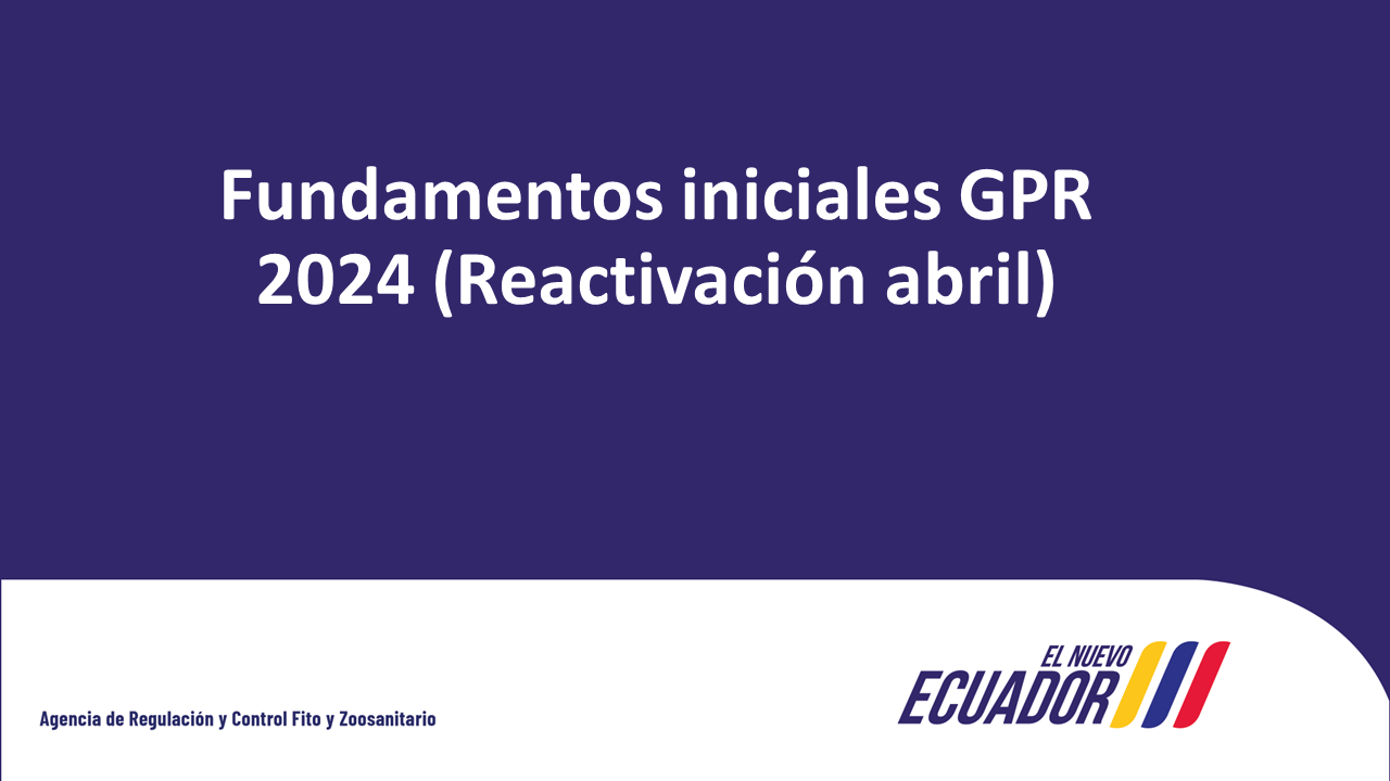 Fundamentos iniciales GPR 2024 (Reactivación abril)