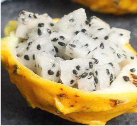Autorización de monitoreadores de moscas de la fruta, cochinillas y escamas en pitahaya (Junio 2025)