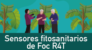 Sensores fitosanitarios con énfasis en plagas vasculares